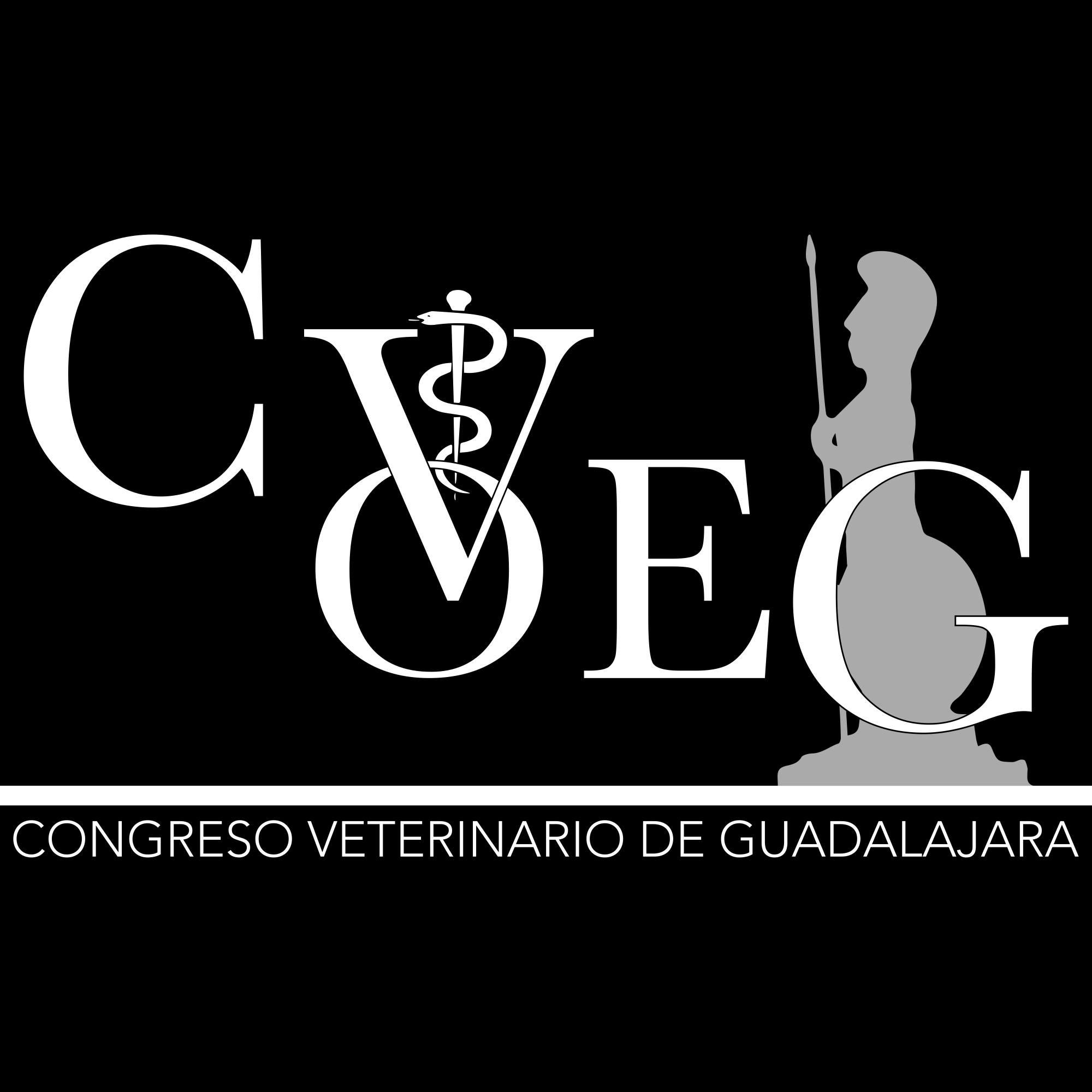 LOGO COVEG