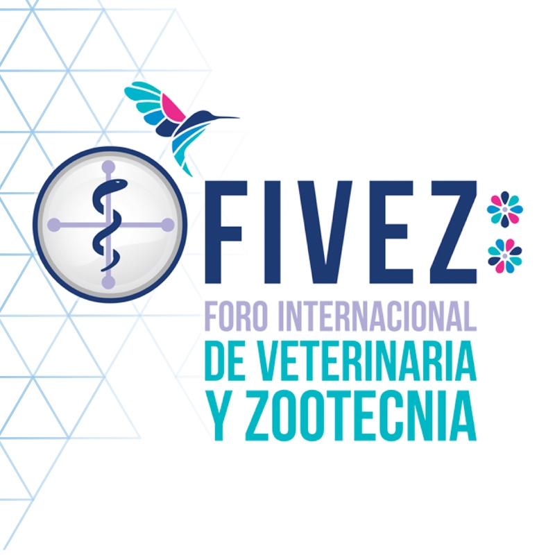 LOGO FIVEZ